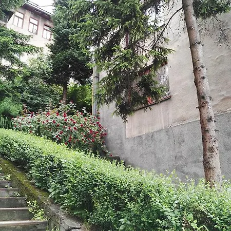 Tarhana Old Town